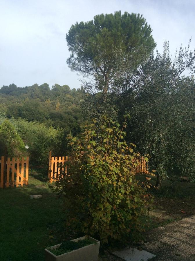 Bed & Breakfast Il Frassino *
