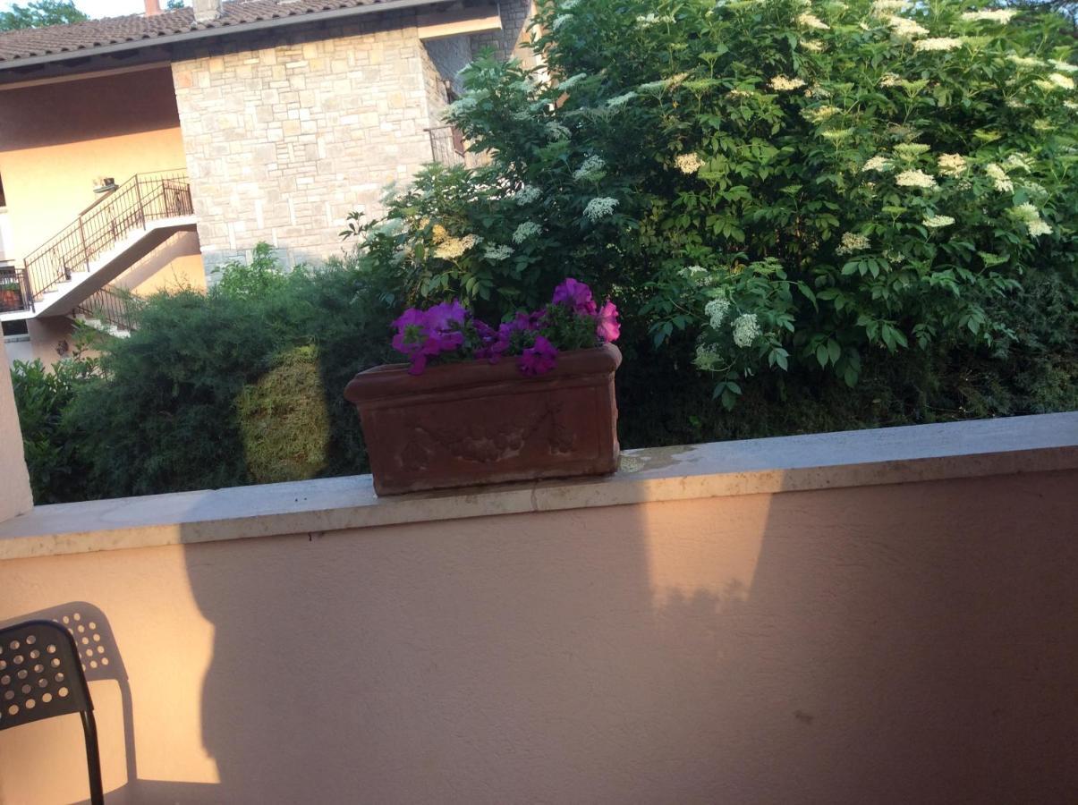 Bed & Breakfast Il Frassino
