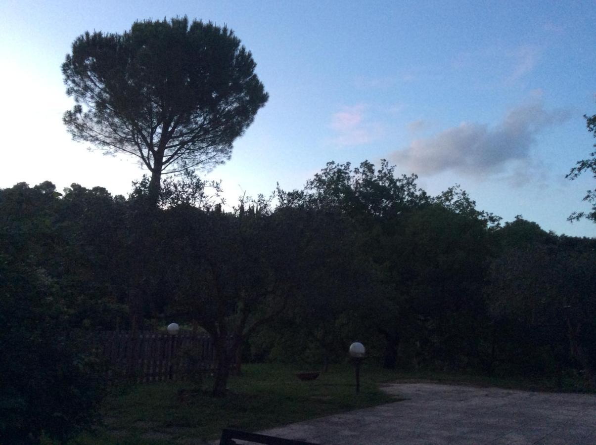 Il Frassino Bed & Breakfast *