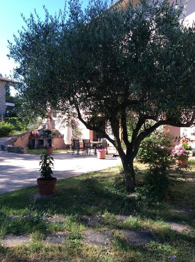 Bed & Breakfast Il Frassino *