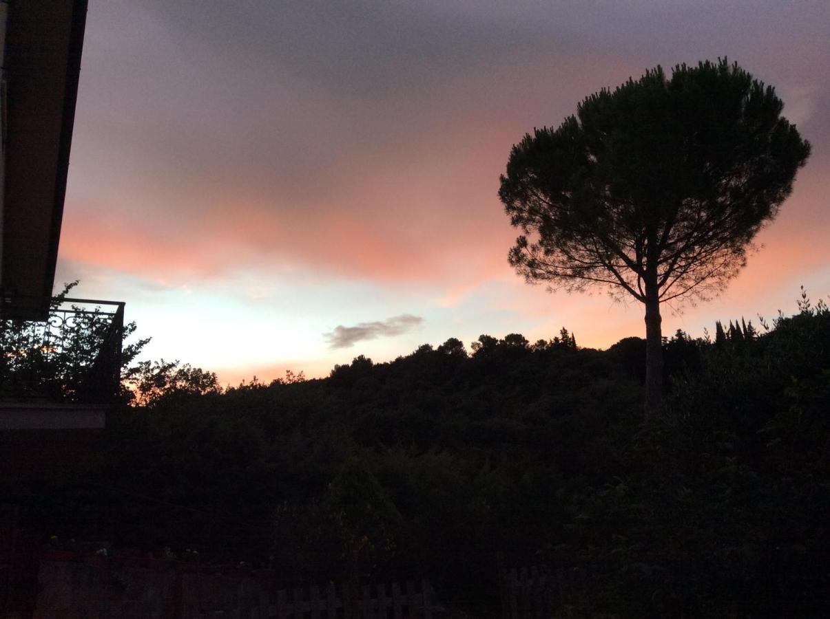Bed & Breakfast Il Frassino