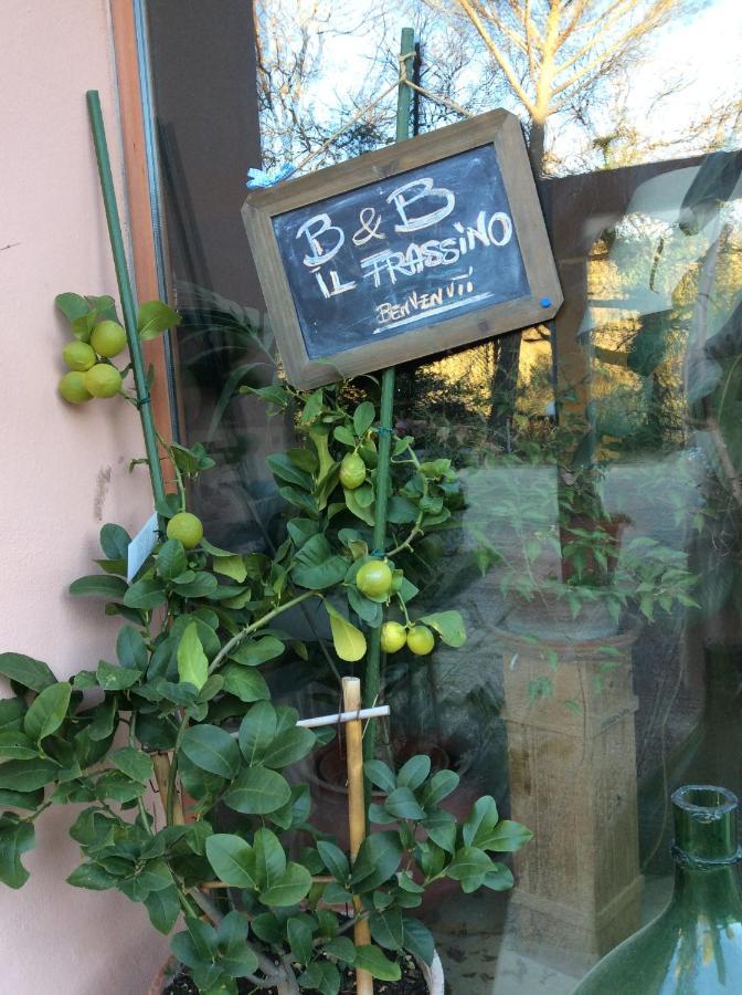 Il Frassino Bed & Breakfast Perugia