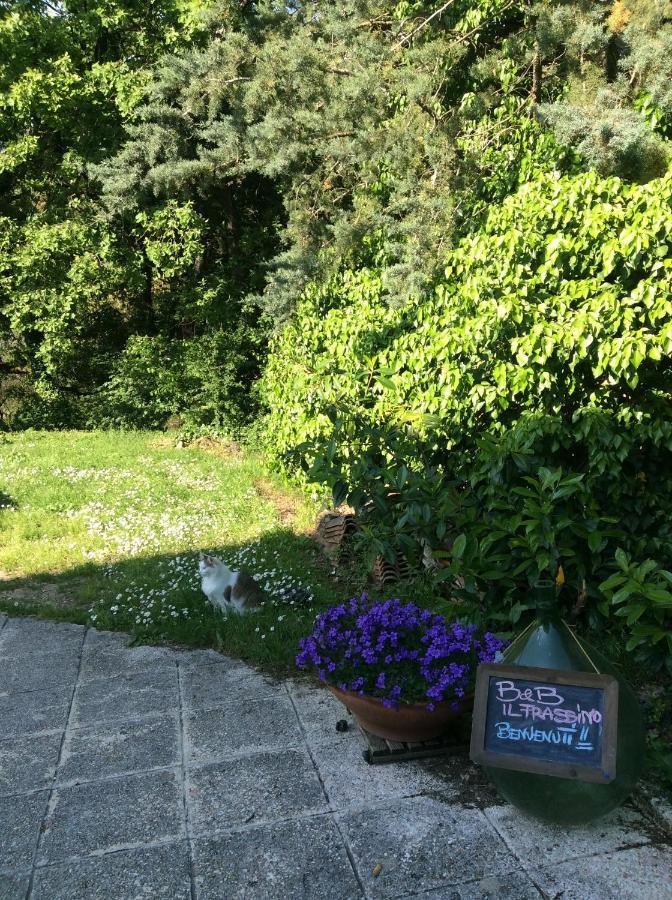Bed & Breakfast Il Frassino