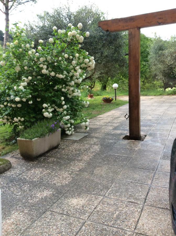 Il Frassino Bed & Breakfast *